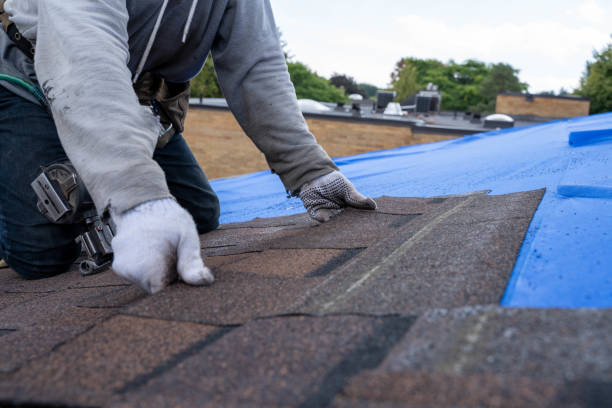Quick and Trustworthy Emergency Roof Repair Services in Lumber City, GA