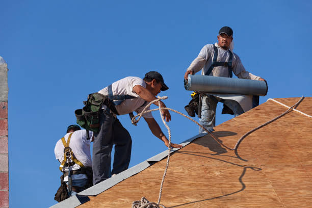 Roof Waterproofing Services in Lumber City, GA