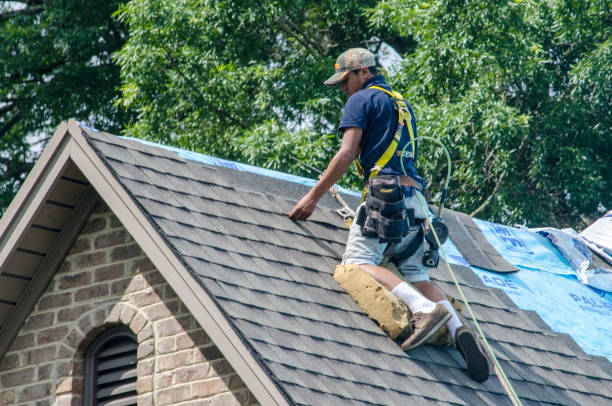 Roof Gutter Cleaning in Lumber City, GA